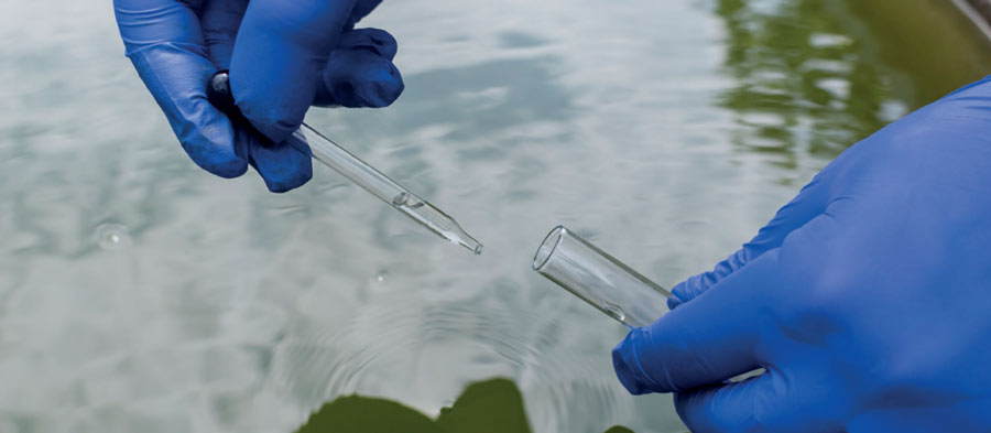 laboratoire-cyanophy-expert-micro-algues-france-spiruline-phycocyanine-astaxanthine