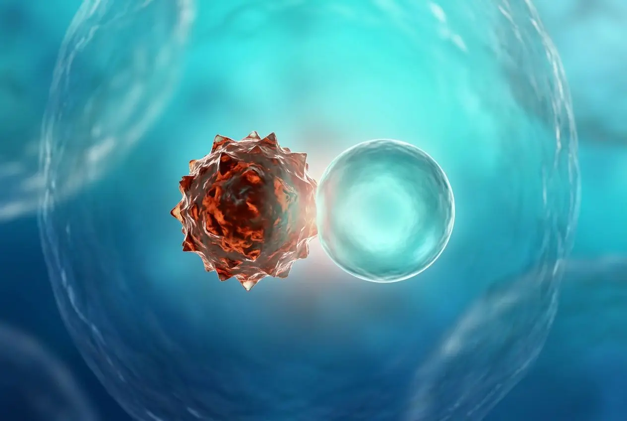 Antioxydant définition: deux molécules, l une rouge et l autre bleue, dans un environnement cellulaire, illustrant l’action des antioxydants contre les radicaux libres.