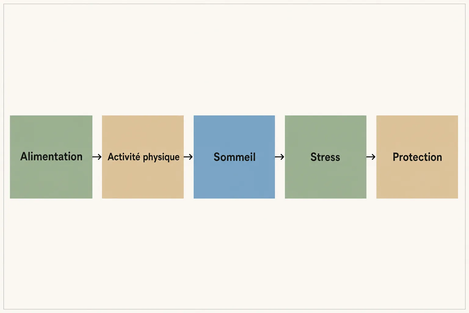 Schéma illustrant un parcours de bien-être: alimentation, activité physique, sommeil, stress et protection pour ralentir le vieillissement cellulaire.